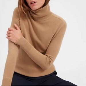 Everlane Classic Camel Turtleneck Sweater